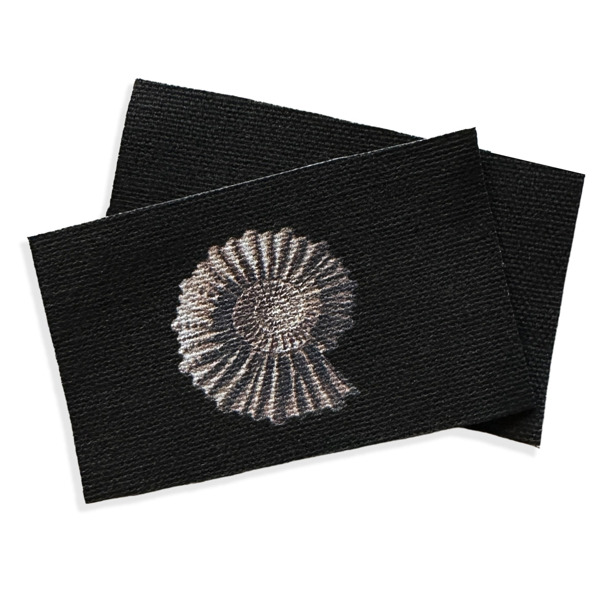 Ammonite Fossil Sew-On Patch