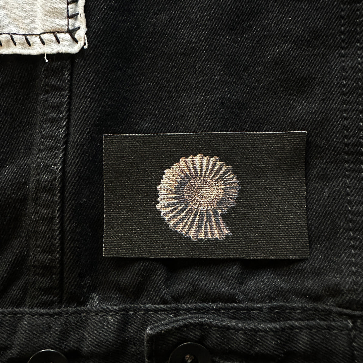 Ammonite Fossil Sew-On Patch