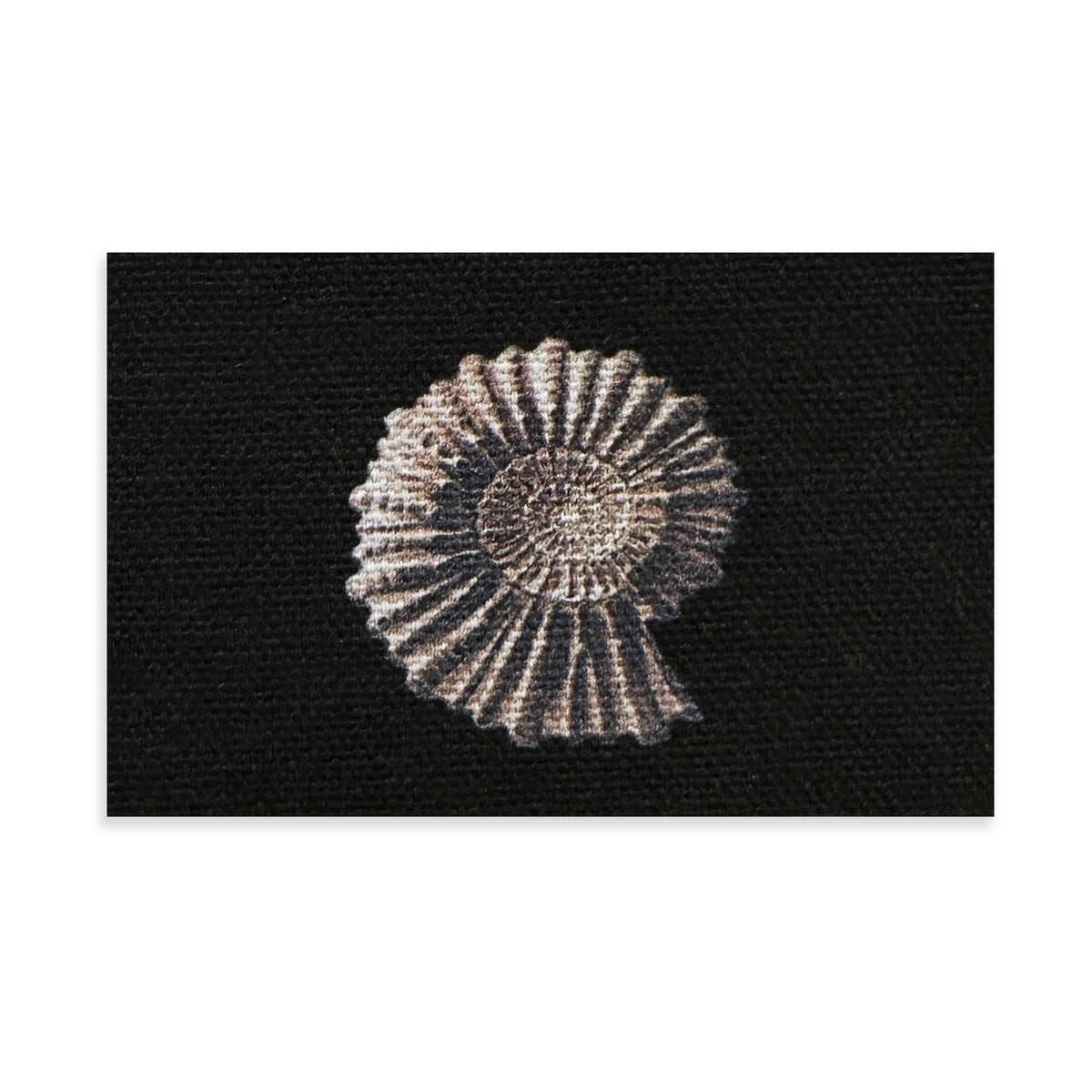 Ammonite Fossil Sew-On Patch