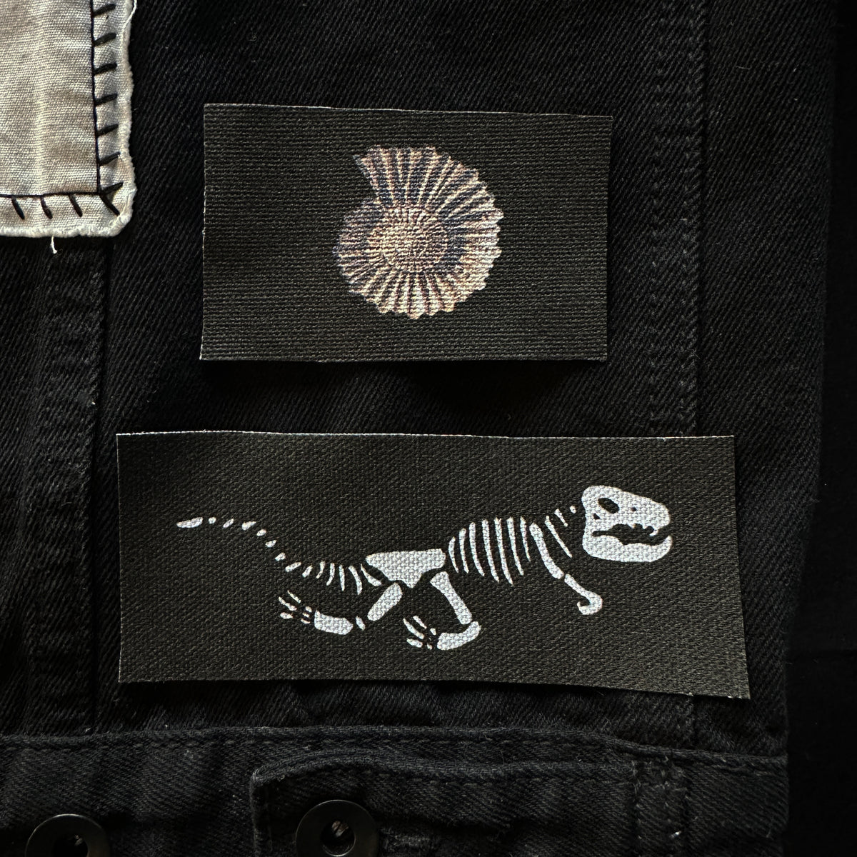 Fossil Skeleton Fabric Patch Set