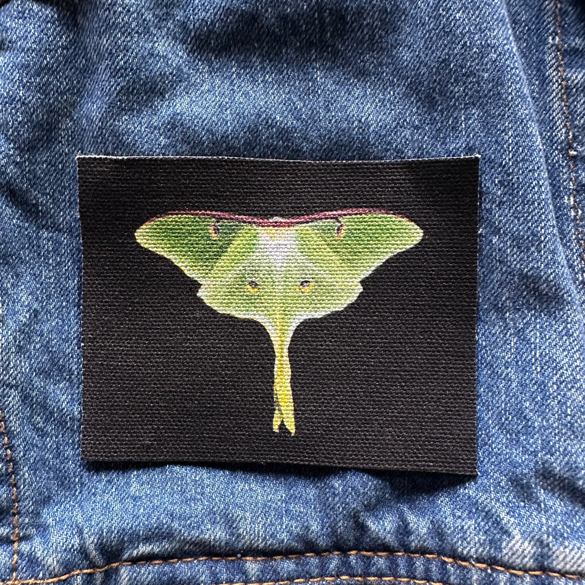 Luna Moth Sew-On Patch