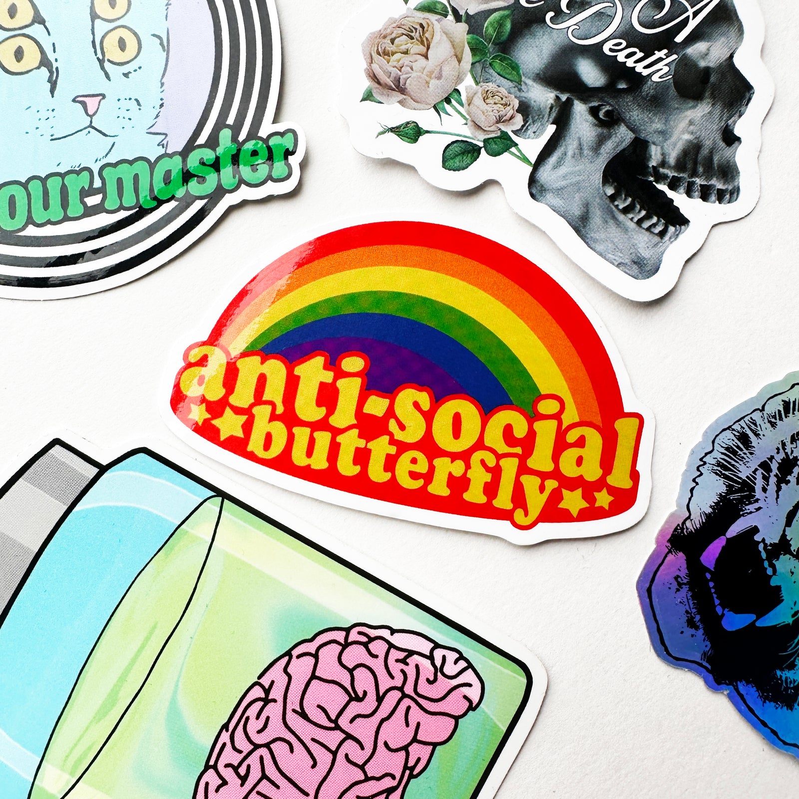 Anti-Social Butterly Decal Sticker-ESPI LANE