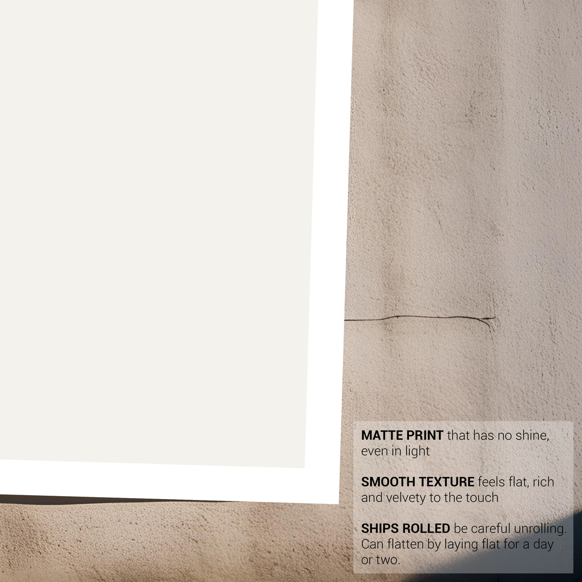 Atlas Moth Vintage French Illustration Fine Art Print-ESPI LANE