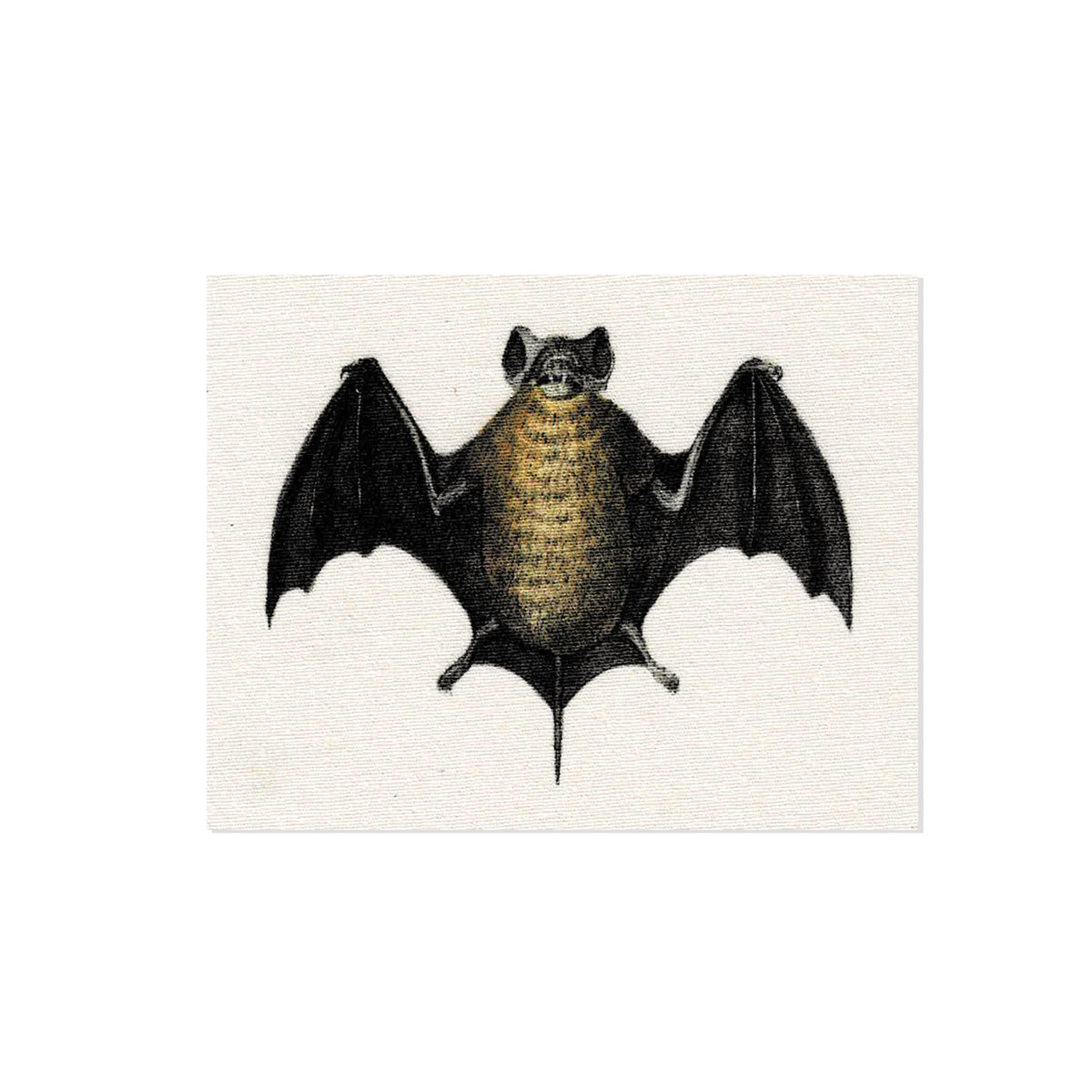Bat Fabric Sew-On Patch-ESPI LANE