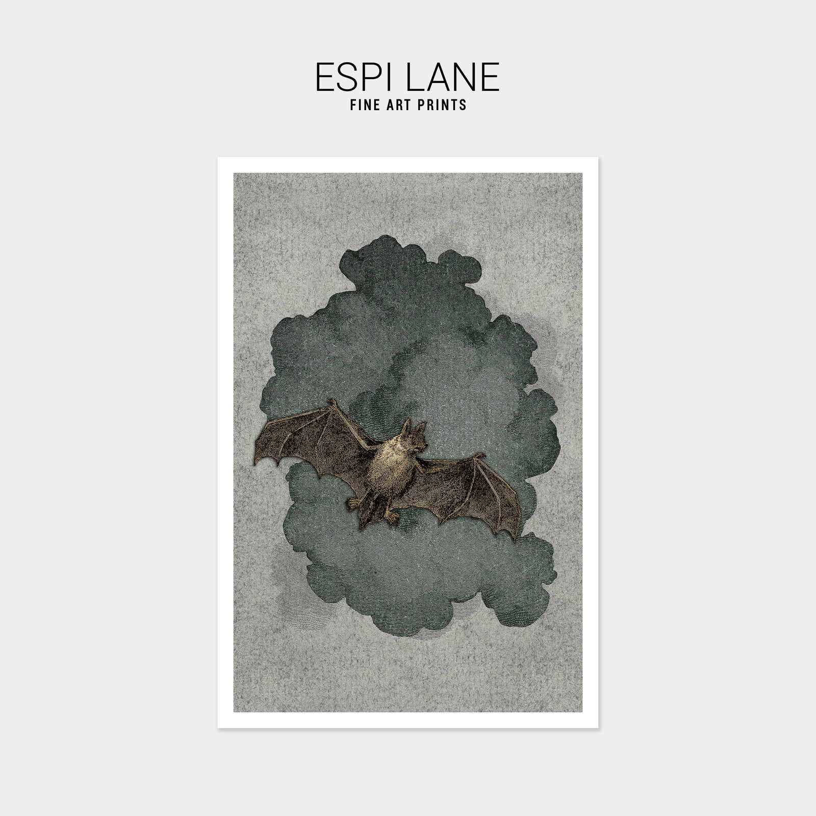 Bat Vintage Etching Fine Art Print-ESPI LANE