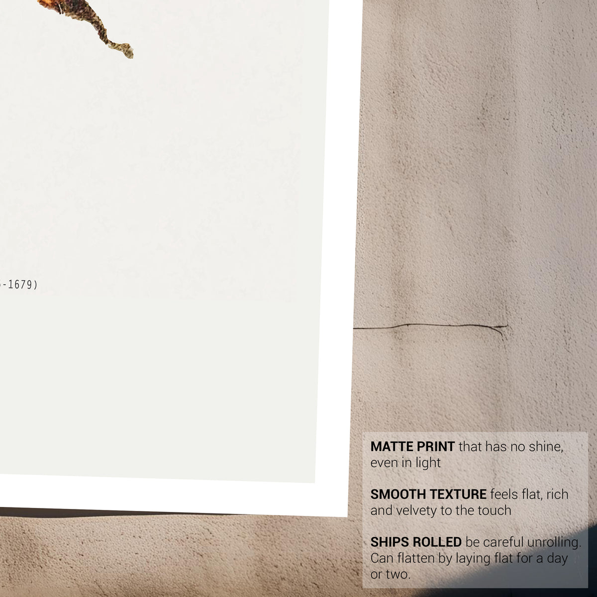 Bee Vintage Illustration Fine Art Print-ESPI LANE