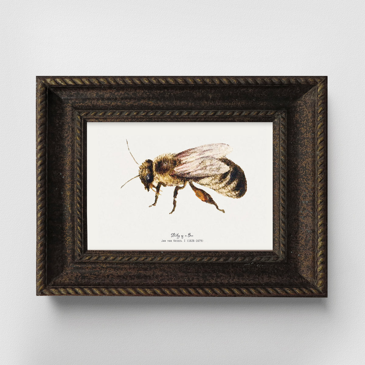 Bee Vintage Illustration Fine Art Print-ESPI LANE