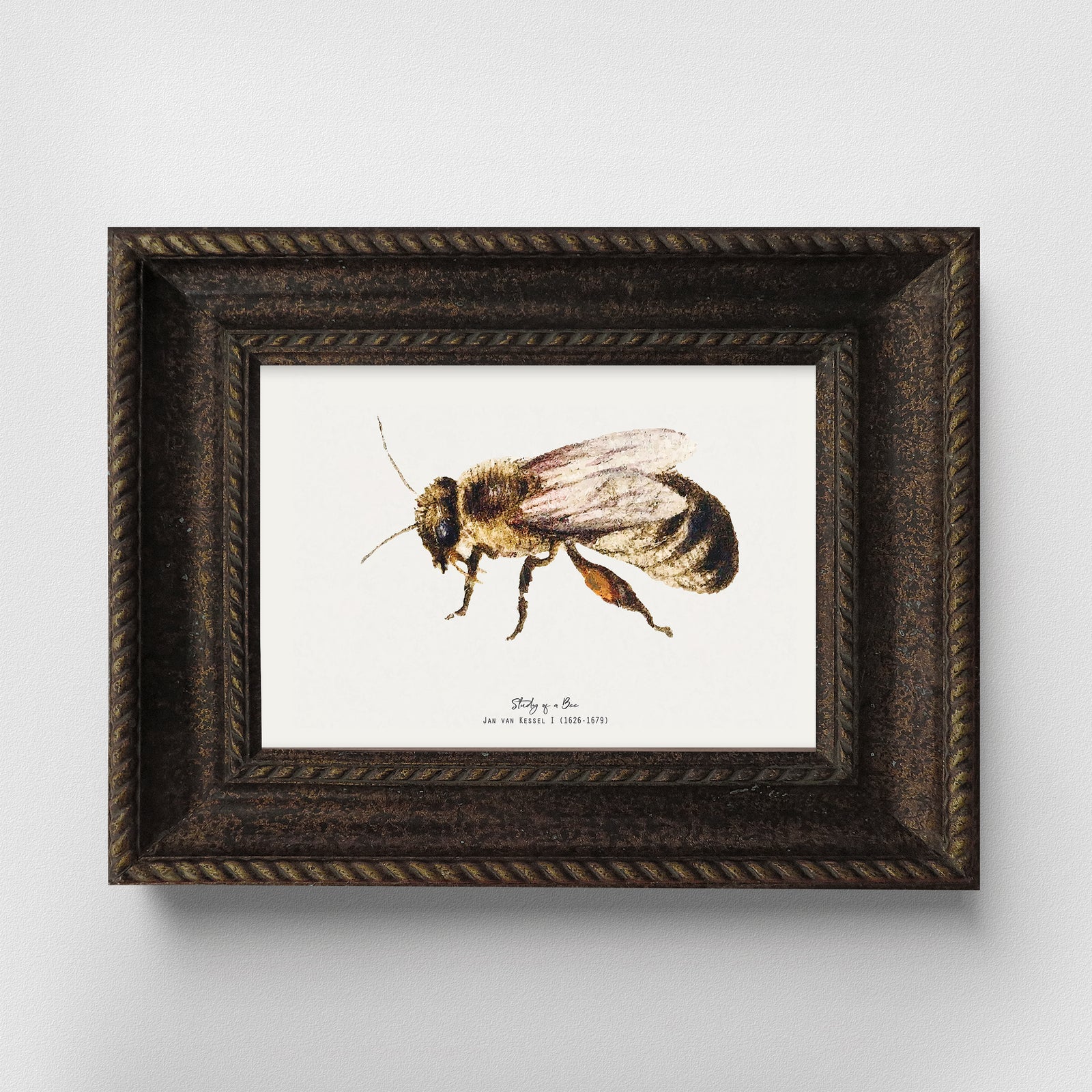 Bee Vintage Illustration Fine Art Print-ESPI LANE