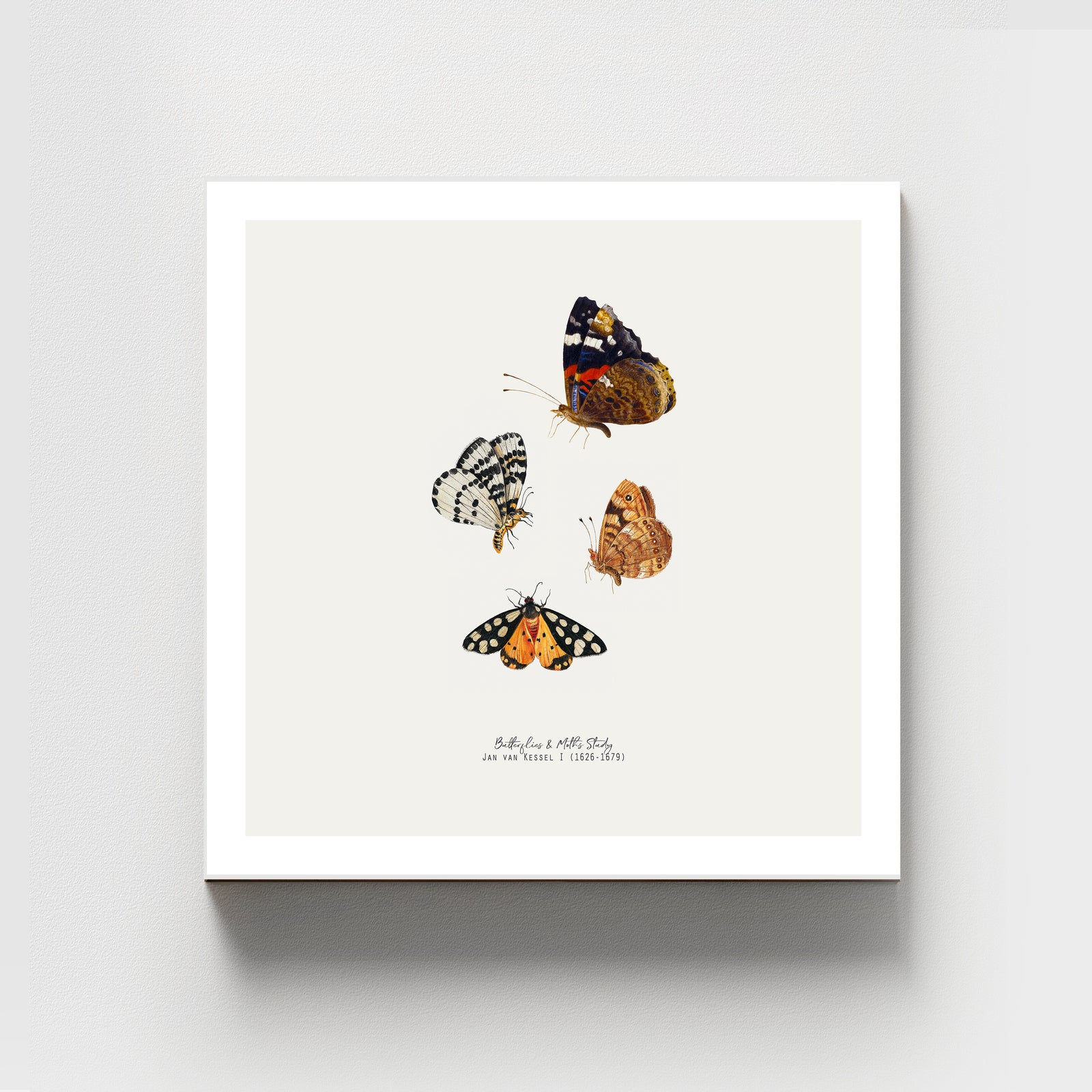 Butterfly & Moth Vintage Illustration Fine Art Print-ESPI LANE