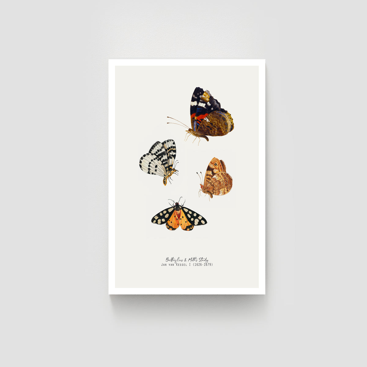 Butterfly & Moth Vintage Illustration Fine Art Print-ESPI LANE