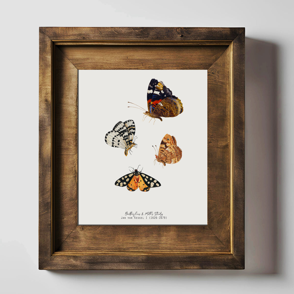Butterfly & Moth Vintage Illustration Fine Art Print-ESPI LANE