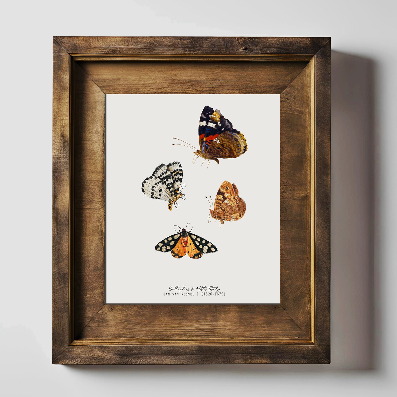 Butterfly & Moth Vintage Illustration Fine Art Print-ESPI LANE