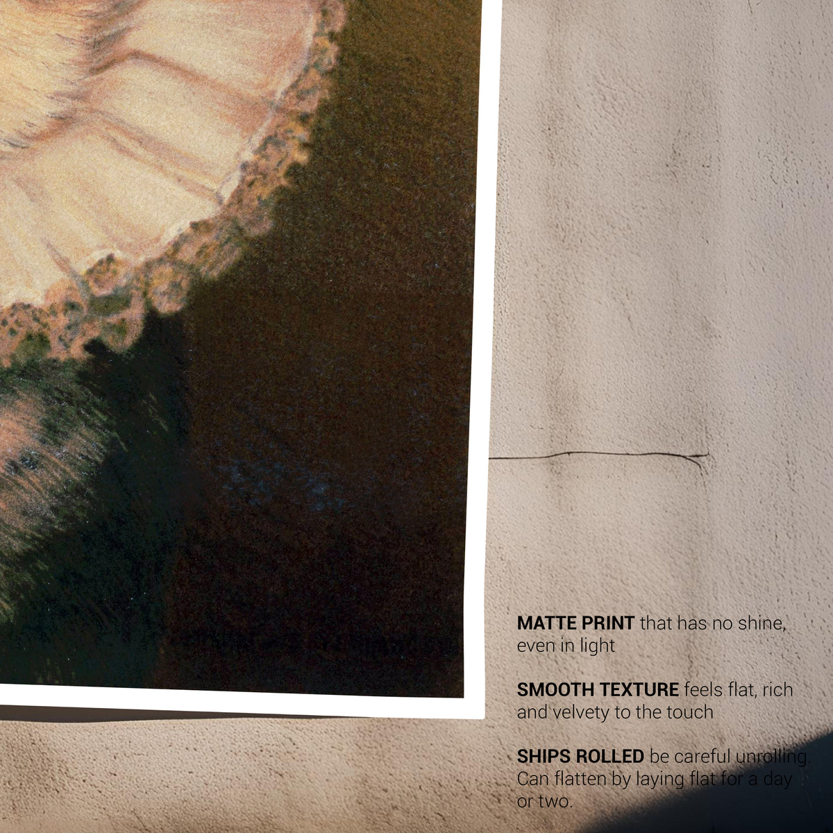 Elizabethan Cat Fine Art Print-ESPI LANE