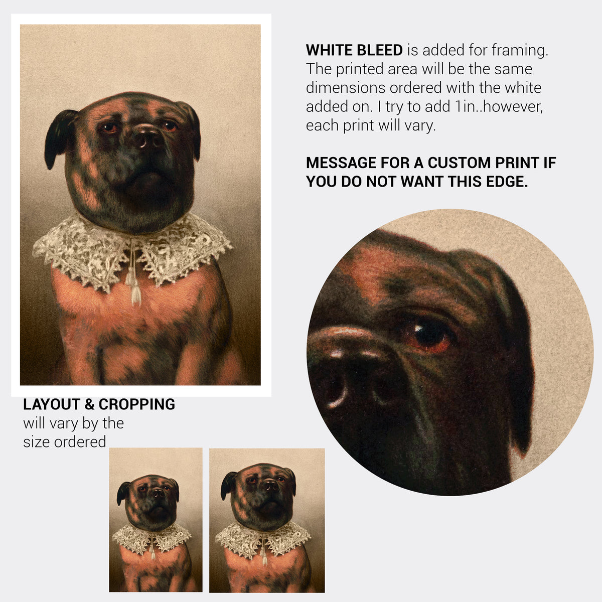 Elizabethan Dog Fine Art Print-ESPI LANE