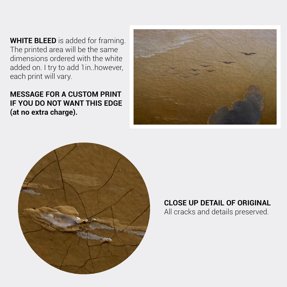 Golden Sunset Fine Art Print-ESPI LANE