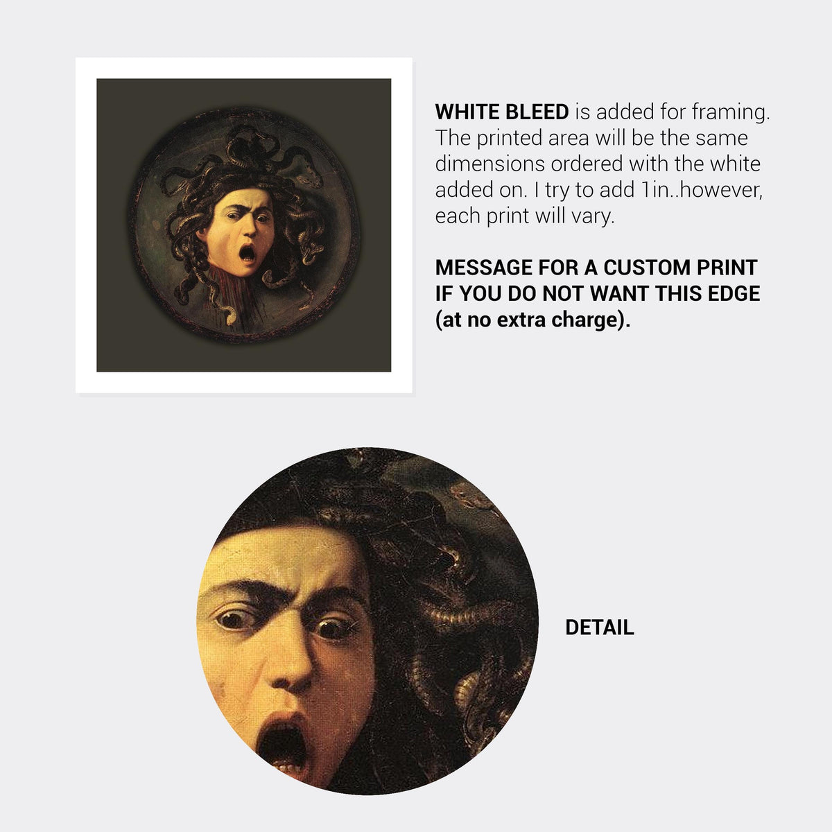 Medusa Fine-Art Historic Print by Carvaggio