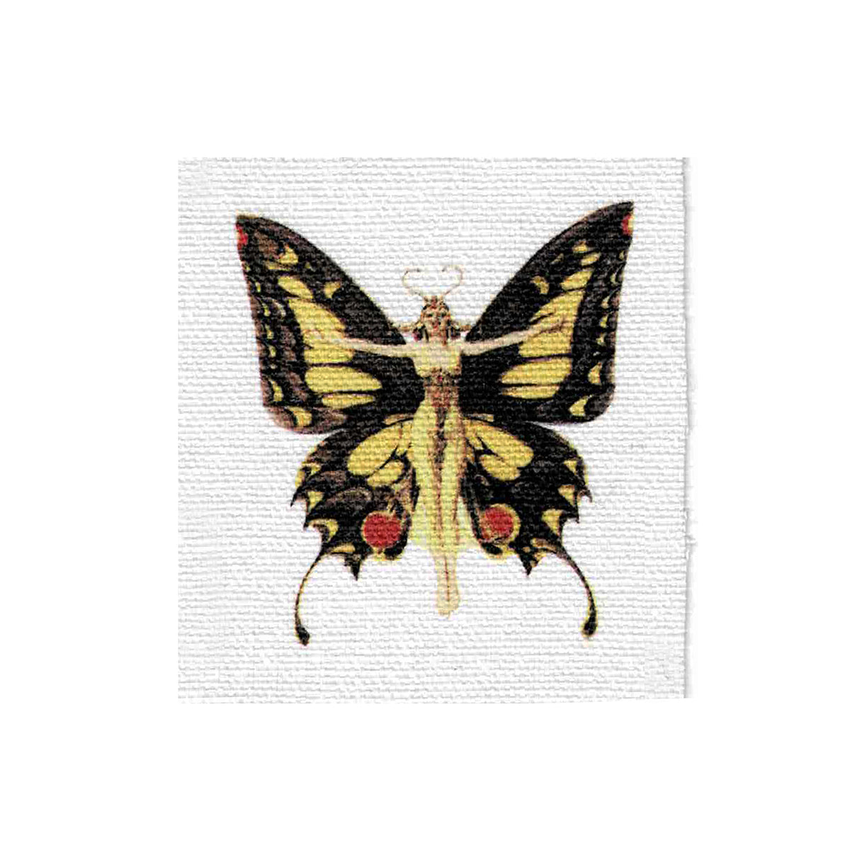 Life Woman Butterfly Fabric Sew On Patch-ESPI LANE