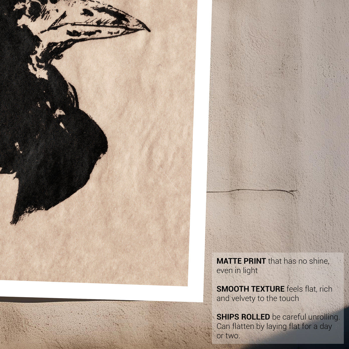 Manet Raven Sketch Fine Art Print-ESPI LANE