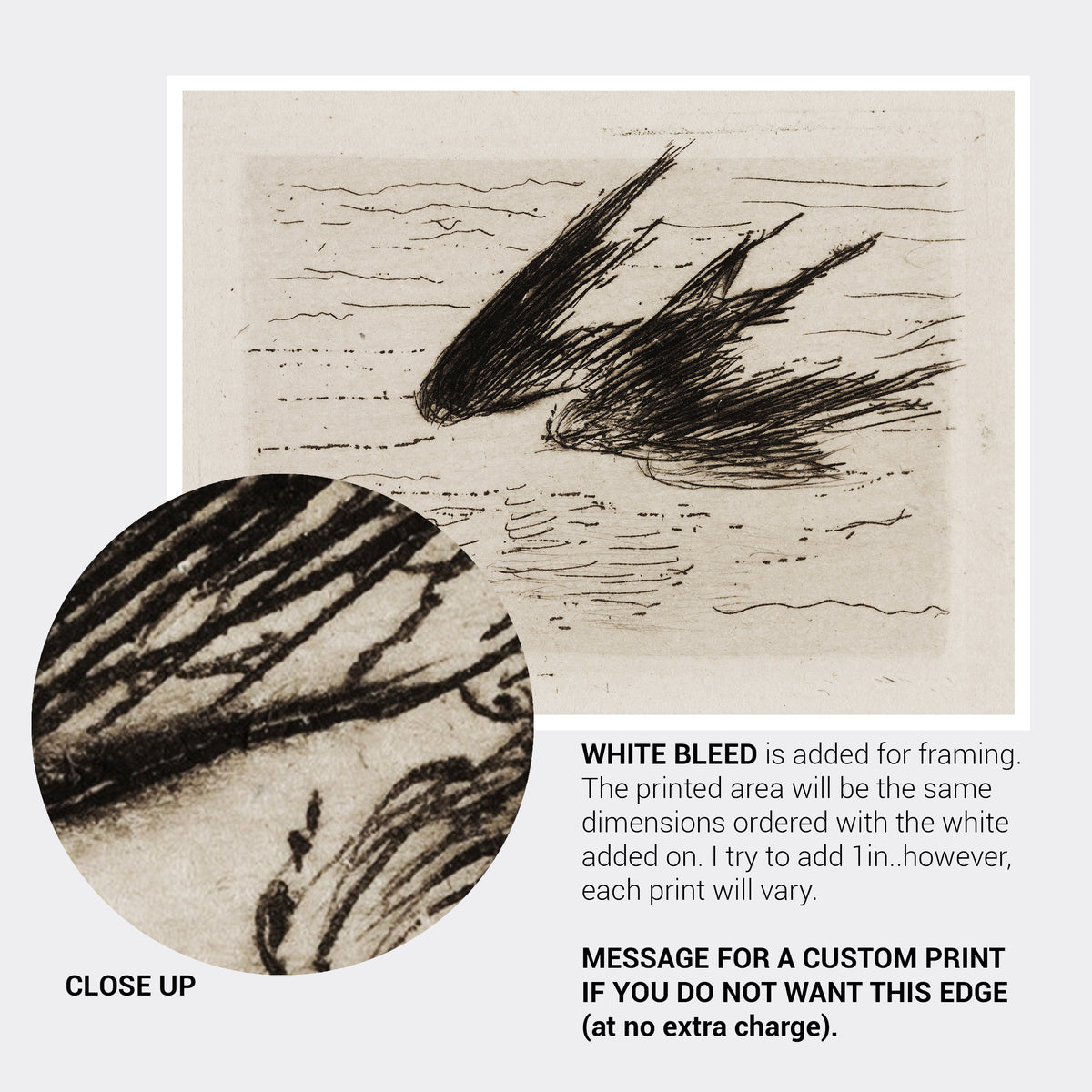 Manet Swallow Sketch Fine Art Print-ESPI LANE