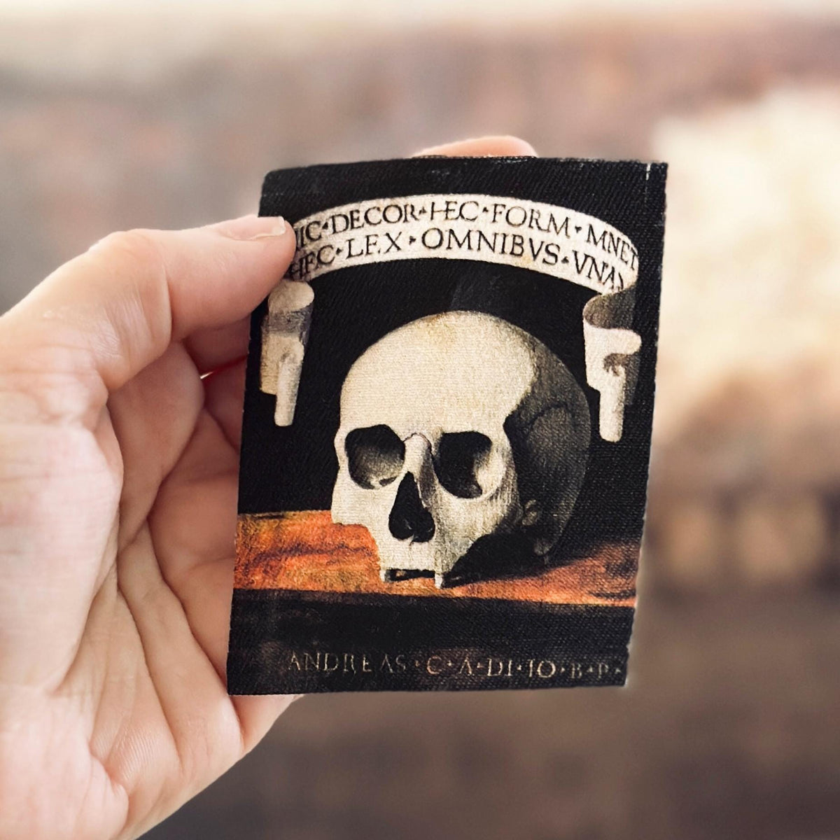 Memento Mori Skull Sew-On Fabric Patch-ESPI LANE