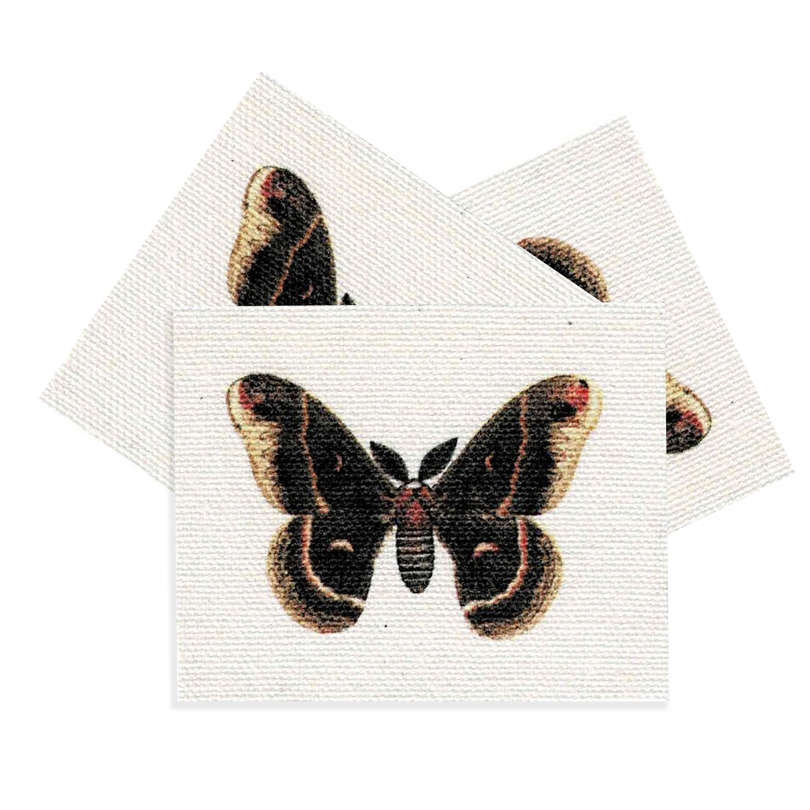 Moth Sew-On Patch-ESPI LANE
