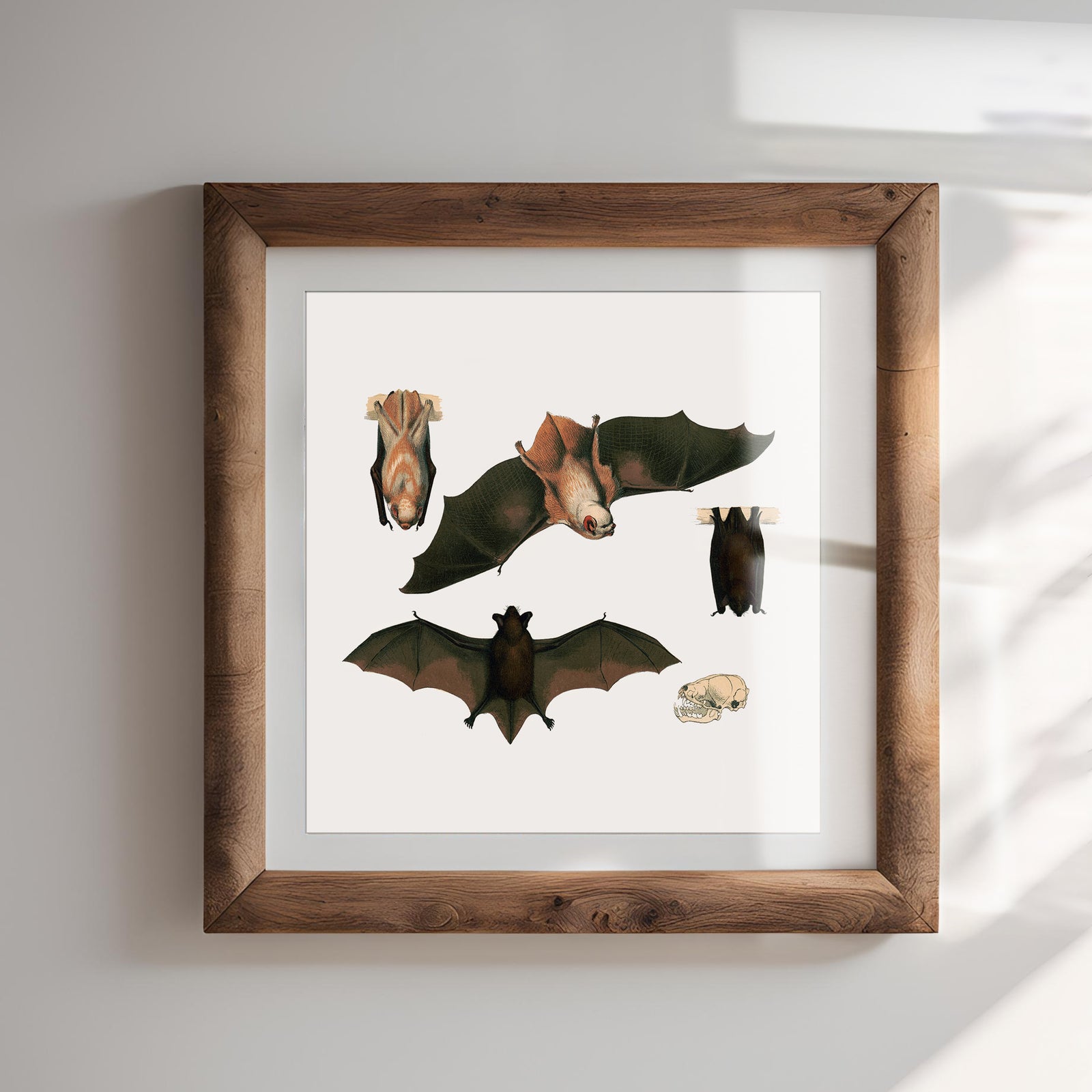 Red Bat Illustrated Fine Art Print-ESPI LANE