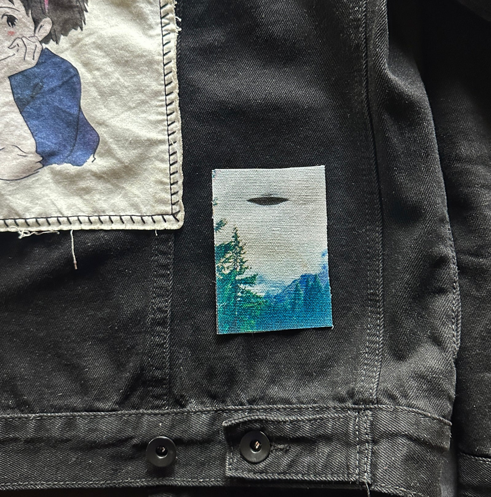 UFO Photo Patch-ESPI LANE