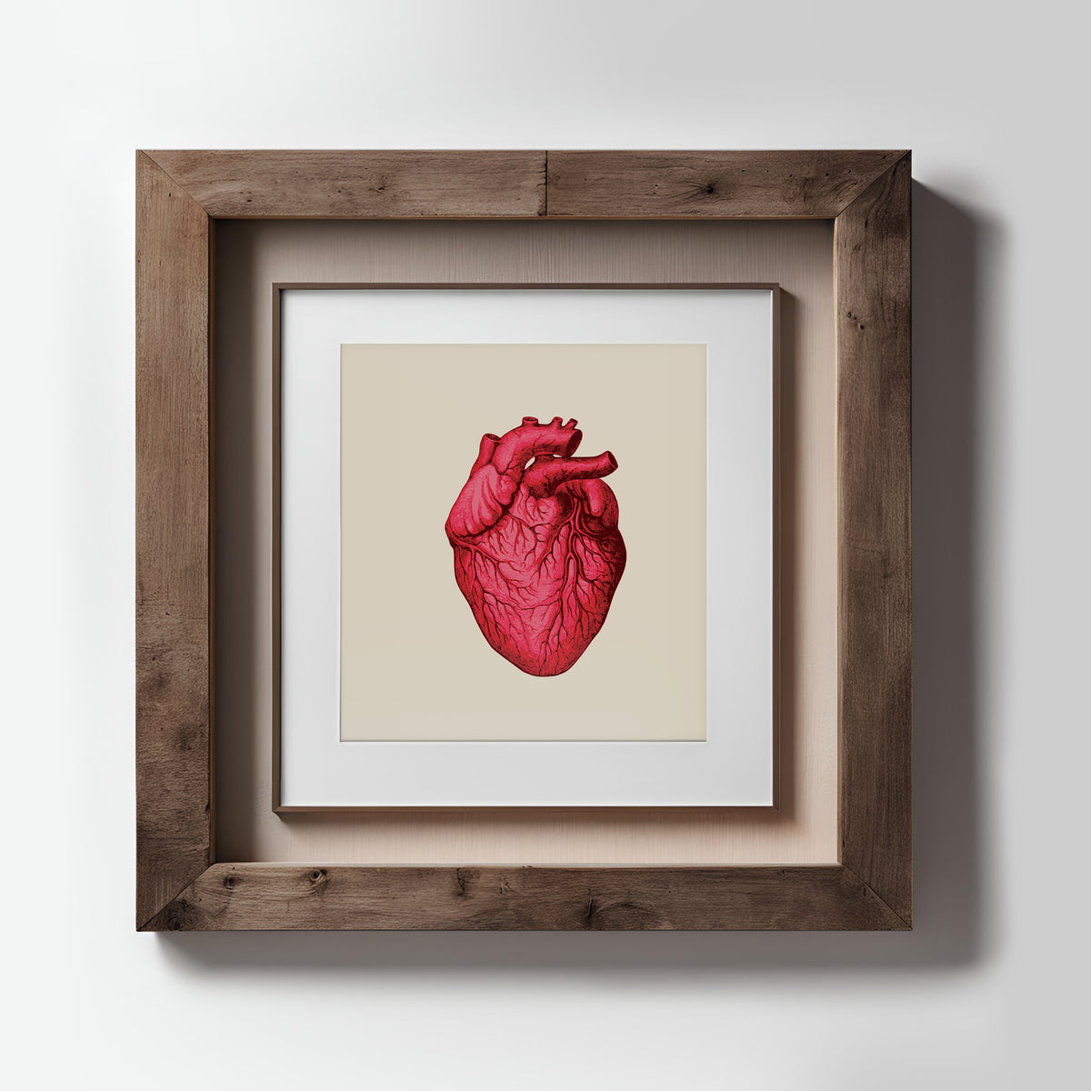 Vintage Human Heart Fine Art Print-ESPI LANE