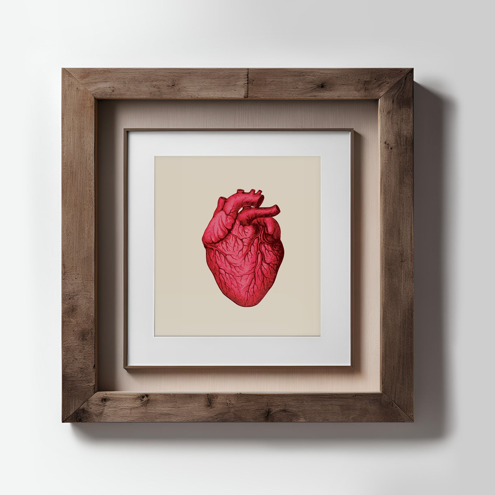 Vintage Human Heart Fine Art Print-ESPI LANE