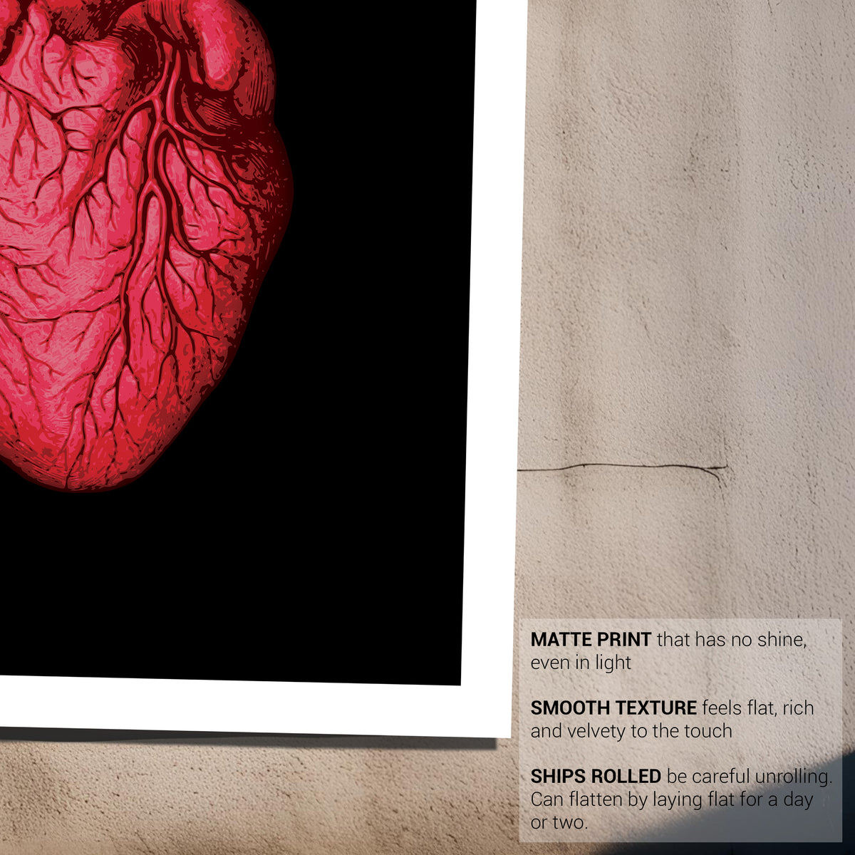 Vintage Human Heart Fine Art Print-ESPI LANE