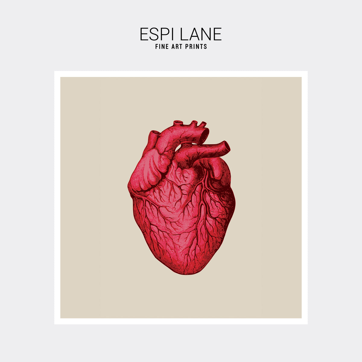 Vintage Human Heart Fine Art Print-ESPI LANE