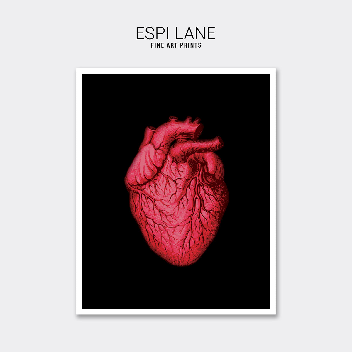 Vintage Human Heart Fine Art Print-ESPI LANE