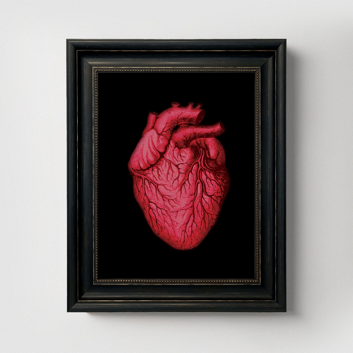 Vintage Human Heart Fine Art Print-ESPI LANE