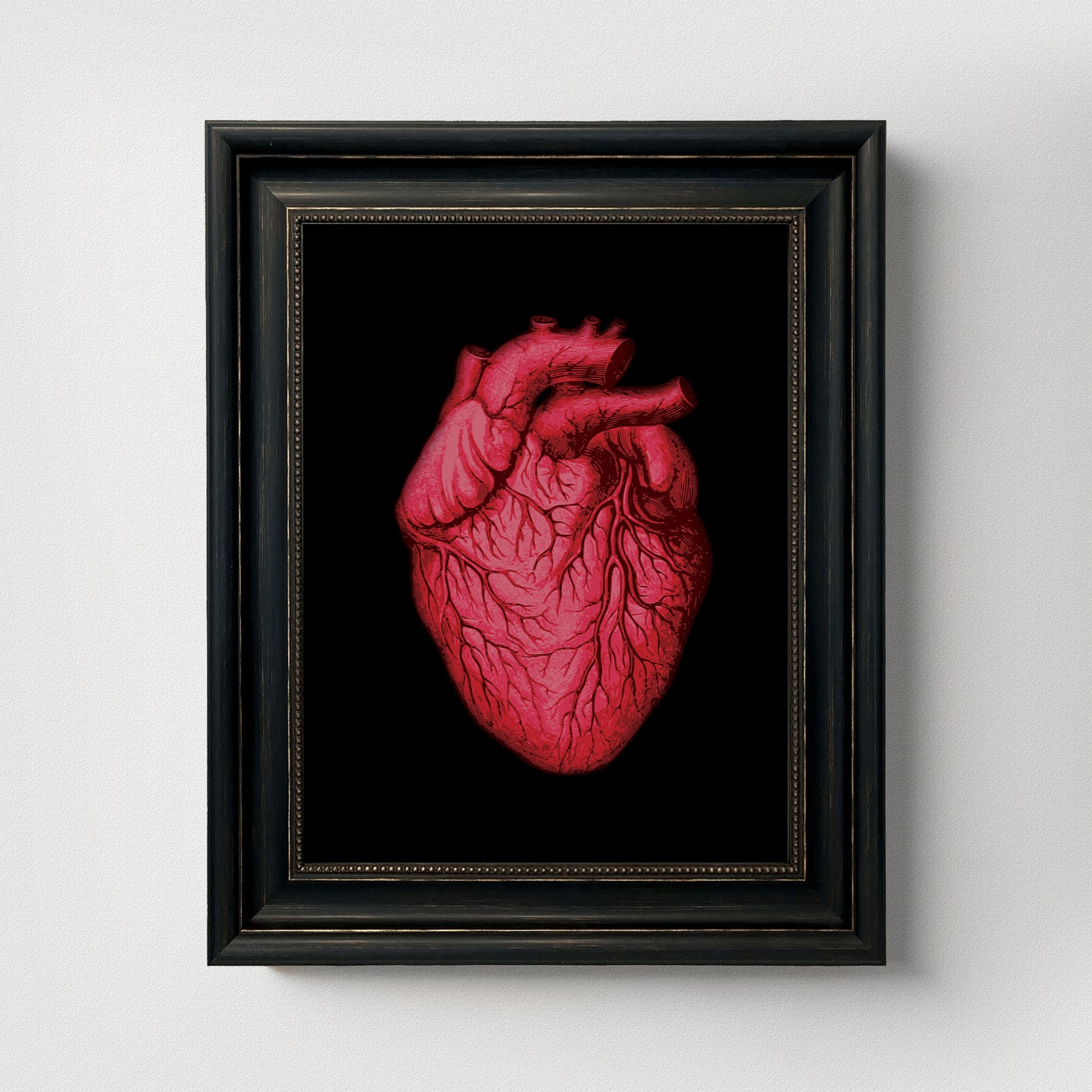 Vintage Human Heart Fine Art Print-ESPI LANE