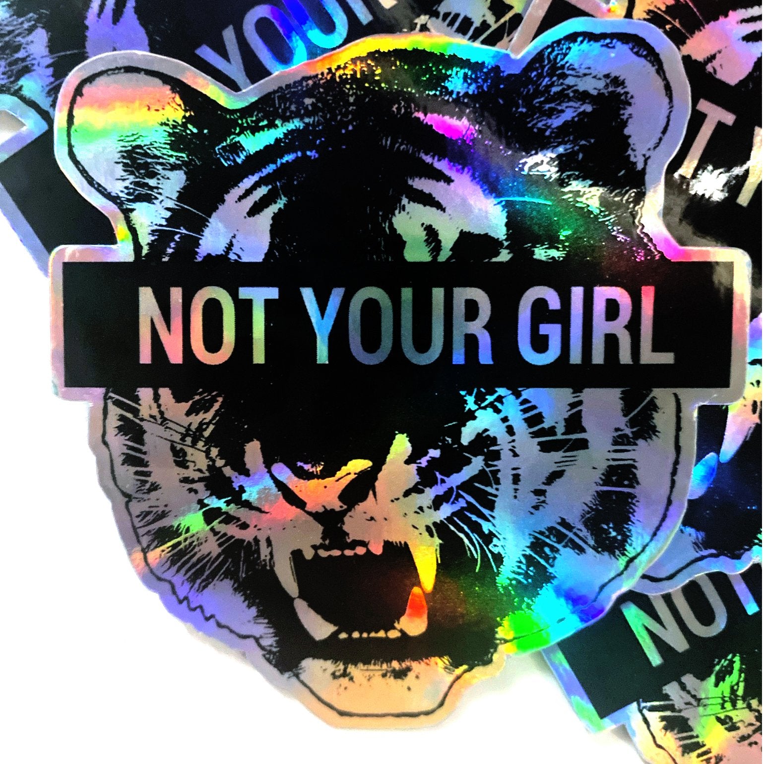 Not Your Girl Decal Sticker-Sticker-ESPI LANE