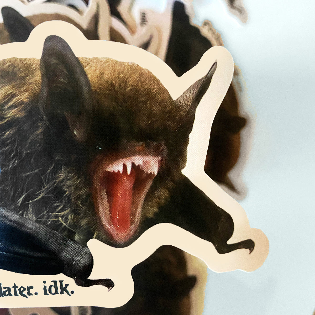 Feeling Cute Bat Decal Sticker