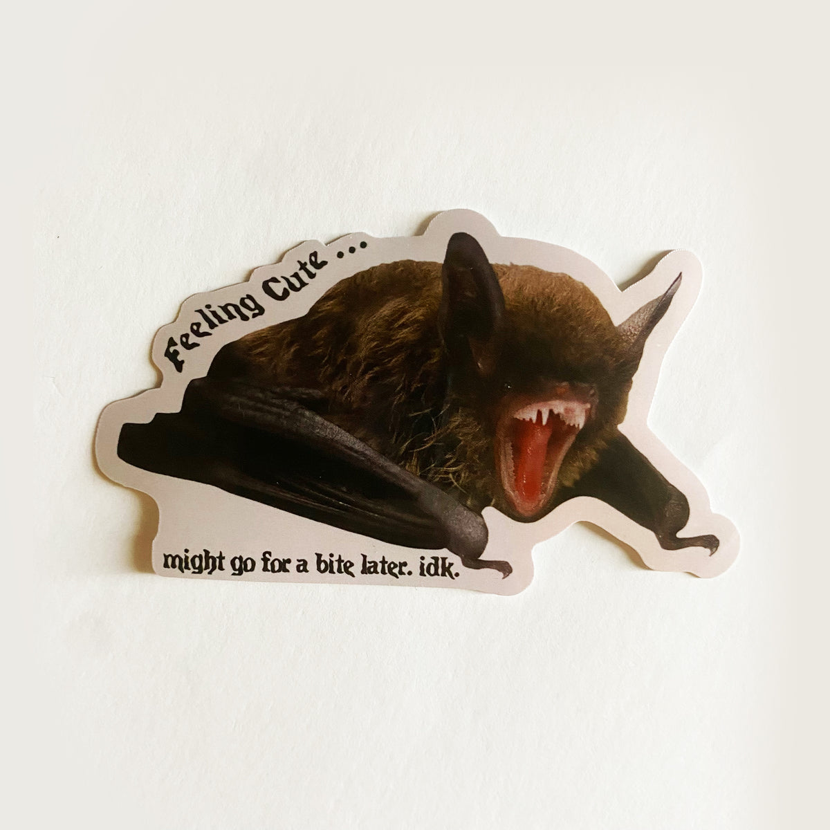 Feeling Cute Bat Decal Sticker