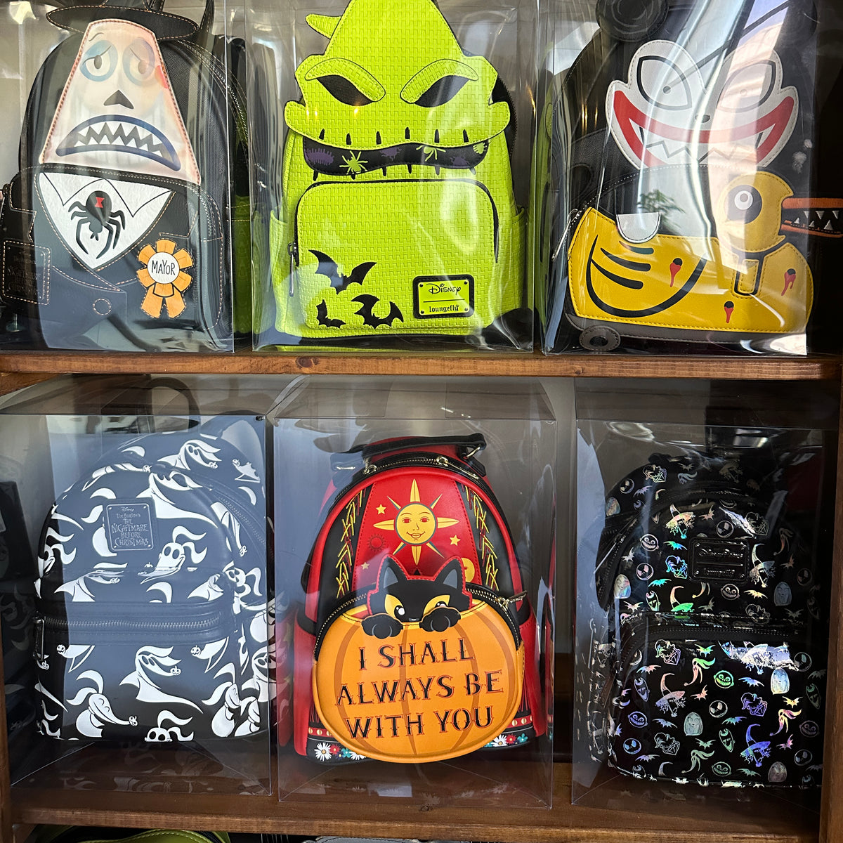 Mini Backpack Display Protector